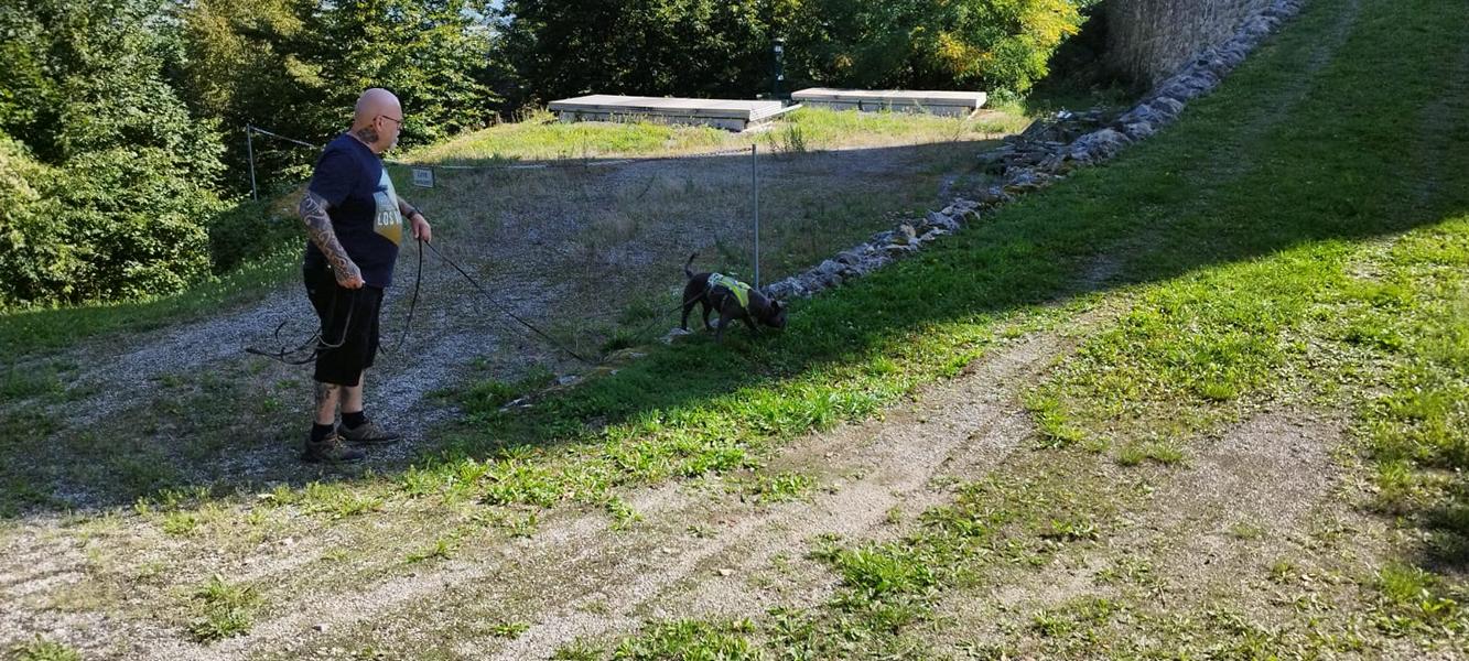 K800_0258d745-435d-4b9b-8bde-1d41ae728f29