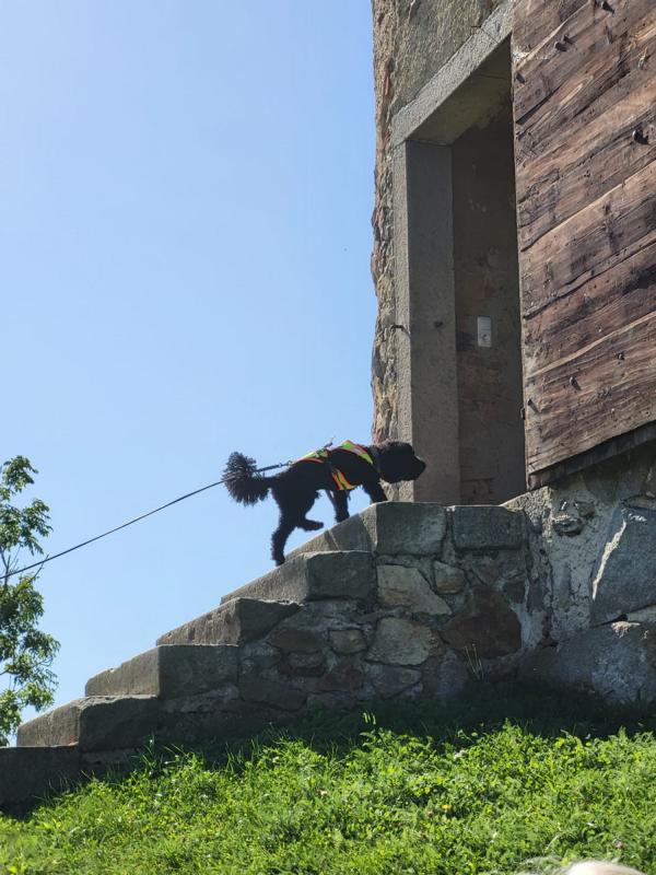 K800_04d71780-dc5f-4d8b-a01c-e2394a89a7fd