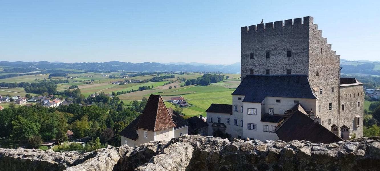 K800_06a797f8-cc36-4866-bddc-1d716d273f86