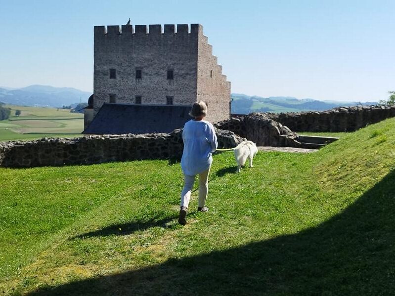 K800_2a7f4227-e0cd-4978-8f44-6092a38a900e