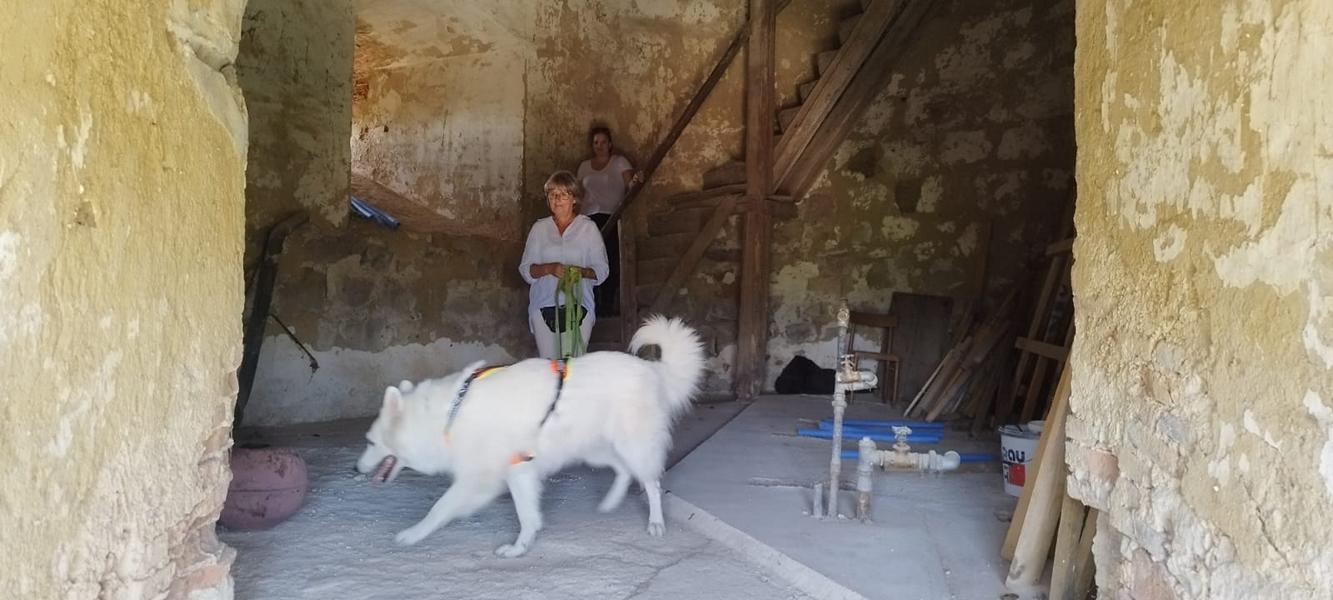 K800_406c93a5-f594-4c0c-a1ce-f2400d705e25