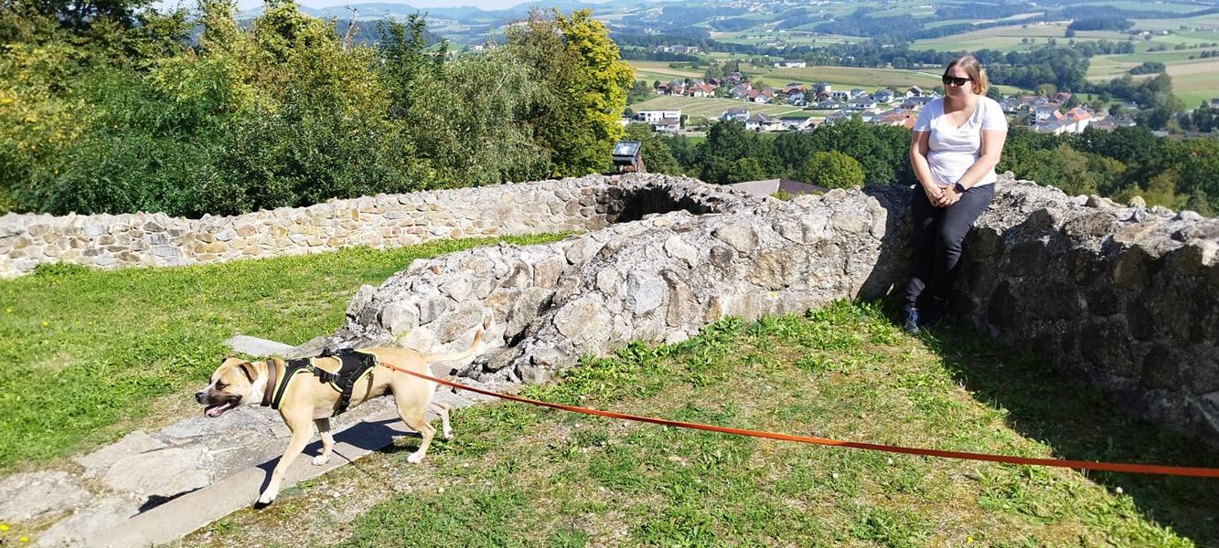 K800_69c5b344-3039-4003-978c-6e1c69a387a1