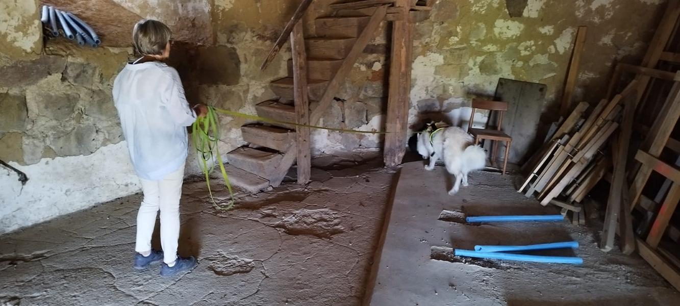 K800_85804f44-a341-4e69-9165-1eb7691a4e2e