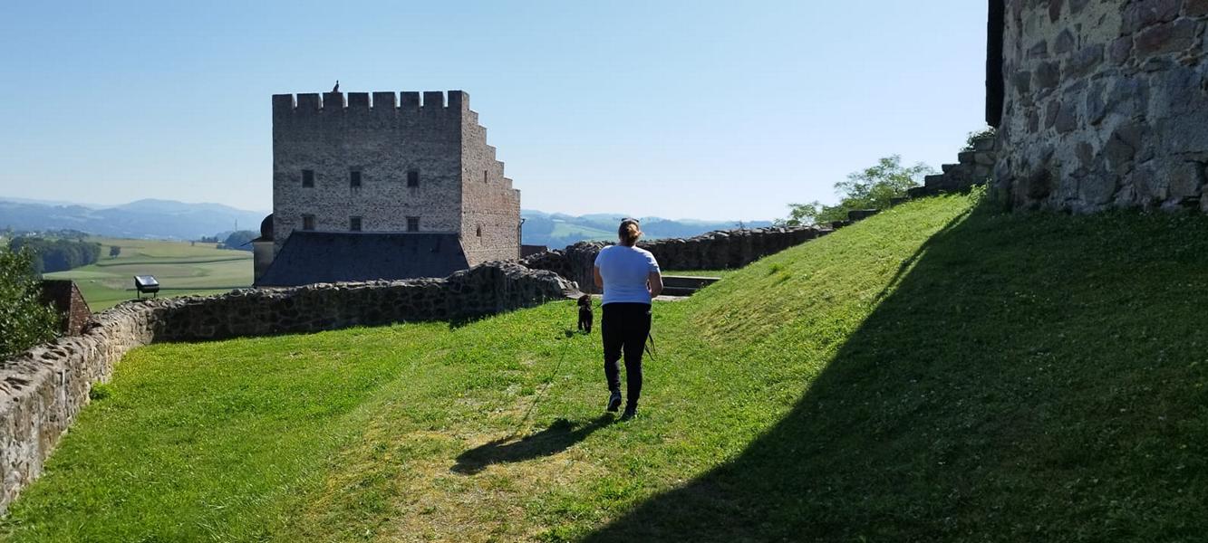 K800_b3729a39-04db-4f84-95c5-b37b995b3acf