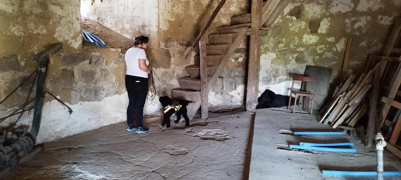 K800_edc2a97c-3444-4ee8-9957-3a0491e4f28c