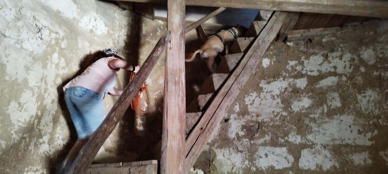 K800_eed3dcb0-add4-420c-9a6c-c7a82f451d51