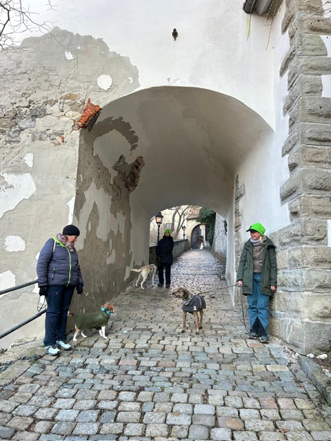 3970b73c-1620-4a3d-a3d6-34809dfe4ad8