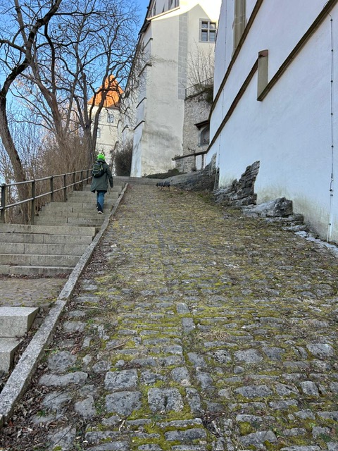 8970fccd-ad7b-48a9-9b40-bae9d9f0effa