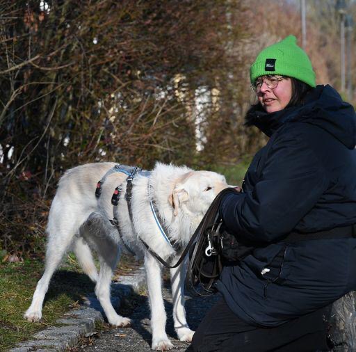 a5780325-ba8e-4f6f-ad39-c9b07e63d7f8