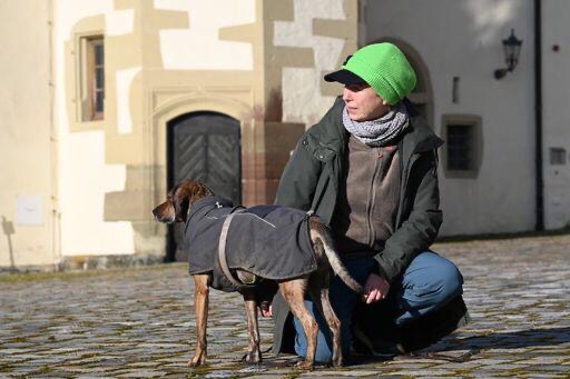 ffed2ea5-2dcd-407d-ad45-004ced22334c