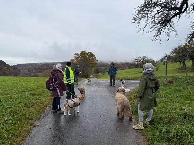 01cdabb1-7f8b-4f2c-bae5-1ee5f9dc5556