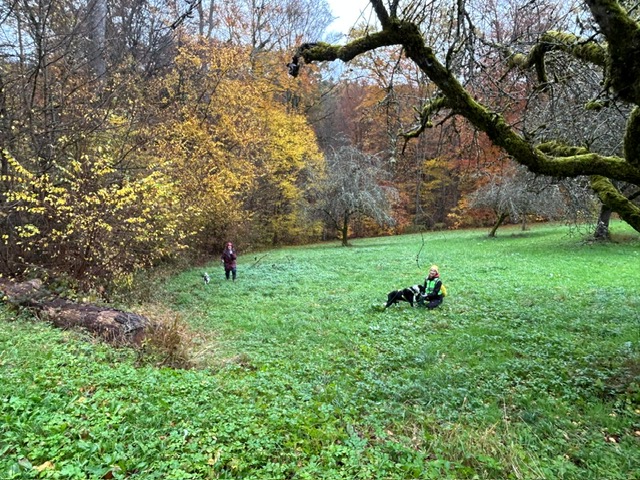 4dbc6277-dda2-49b7-939c-23decb613447