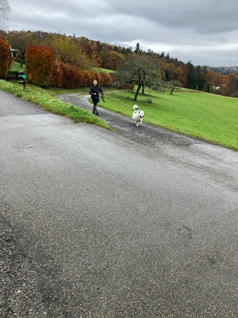 5AA109E4-F715-4C11-8E47-B992FF1320E5