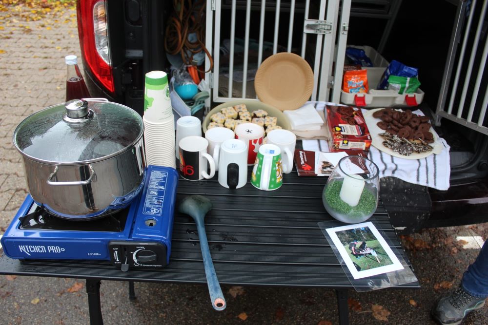 PHOTO-2025-11-02-20-01-12