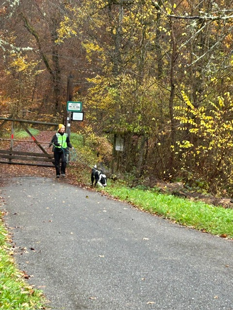 b047b9b4-8a93-4056-a15f-7d5f90db2a8b