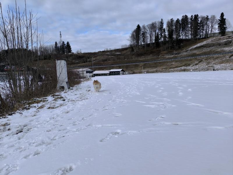 IMG_20251231_133936_1