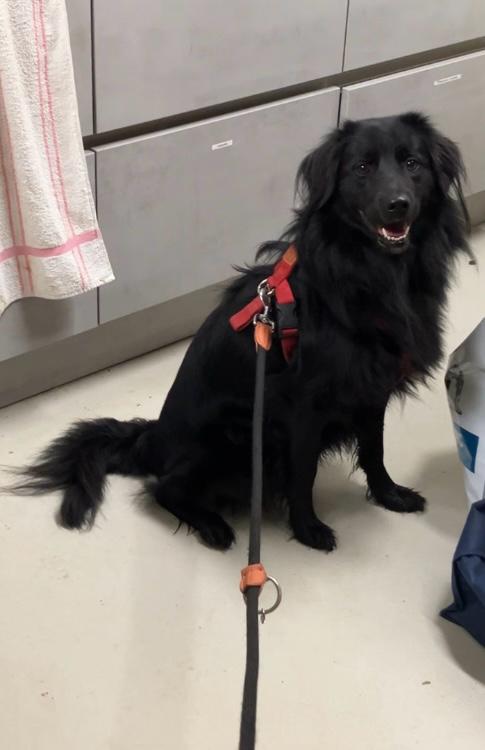 PHOTO-2025-12-15-15-13-22