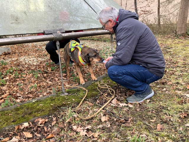 3bb4086b-7547-40bc-aef0-d81c2f1dff10