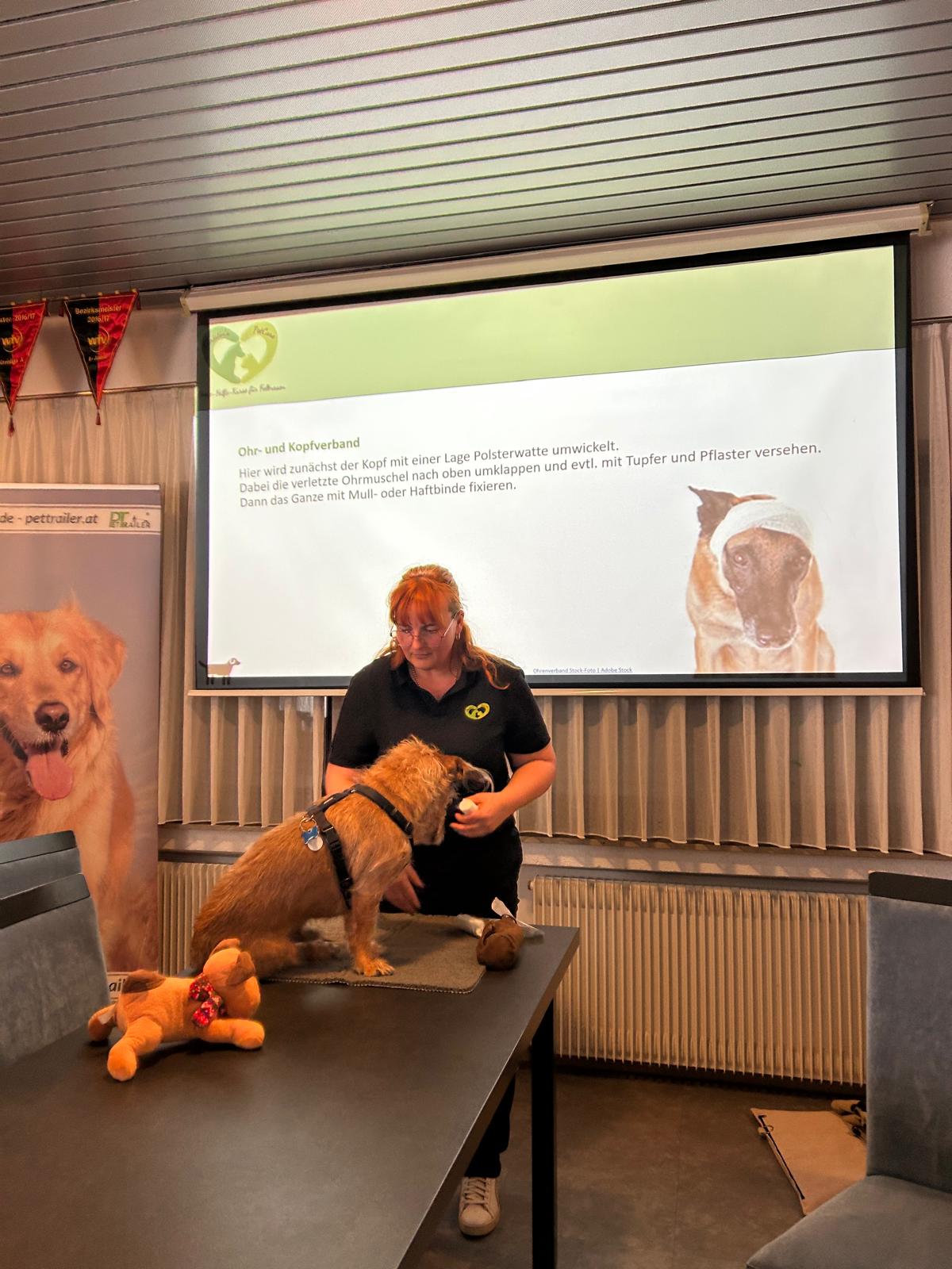 42fa9153-1268-4231-8e41-b29bf5b16f91