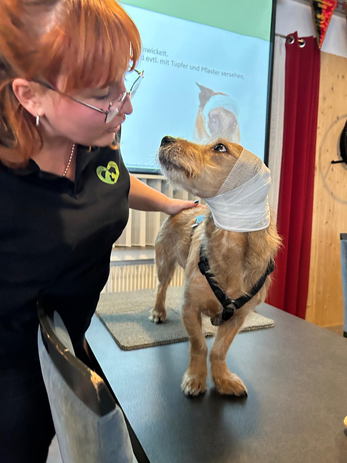 6753e67f-25d4-4275-a647-c29cf6ad717b