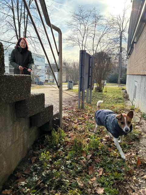 742d20e7-37dd-4c87-90c7-4c7b9ed24297