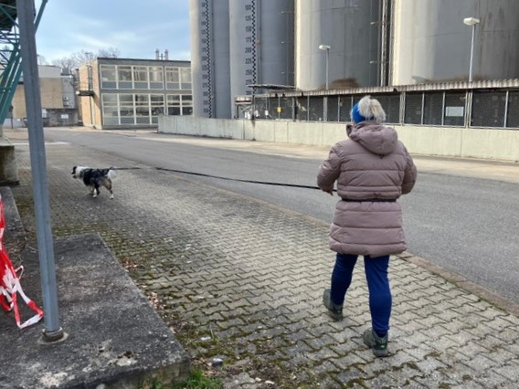 baaf58e1-3bd5-4963-88b6-178450417534