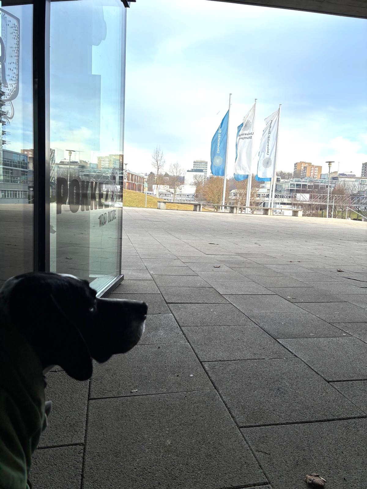 c40469f0-6eca-4ea0-ae34-777f5832356c