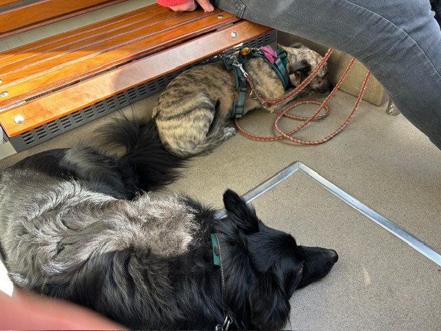 28679db5-74d4-48e3-95fa-f7996735f4d1