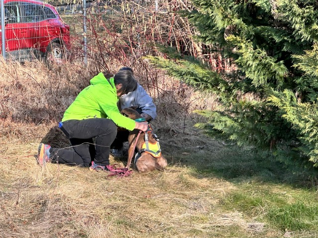 6de898fc-ef9a-45dd-9eb6-0d02097cbde4