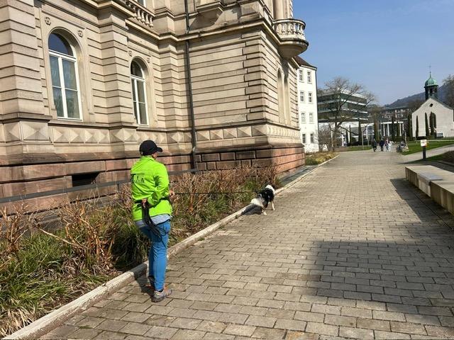 7a13cb12-2a9f-43c1-beb6-3733f625e3b8