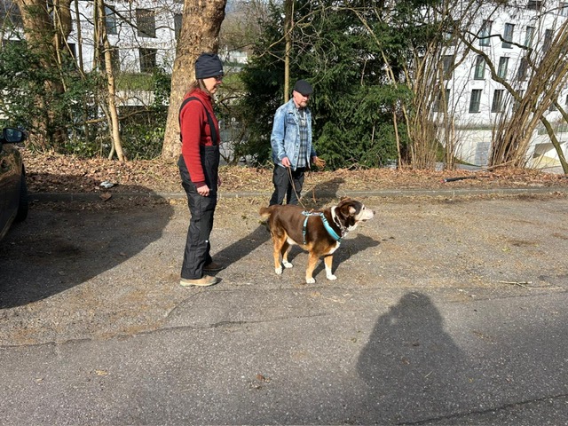 7f275def-caf5-43e3-beb1-55ac4af0efa0