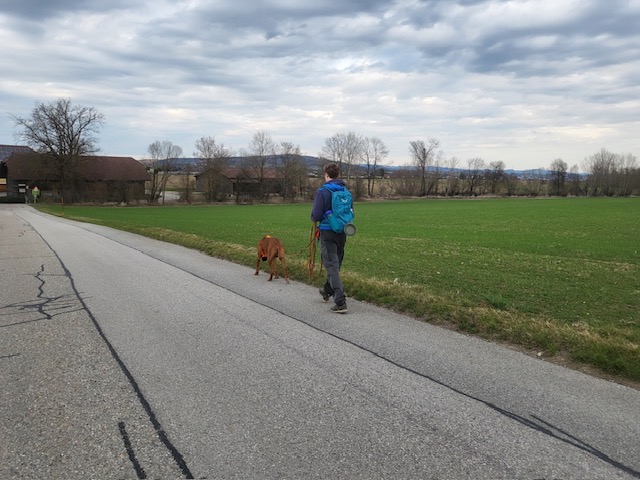 8bc9d021-bf0f-4838-a5bb-a5e9b44d6792