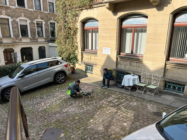 9ee42e54-fbfc-4d36-8467-a66b8853af35