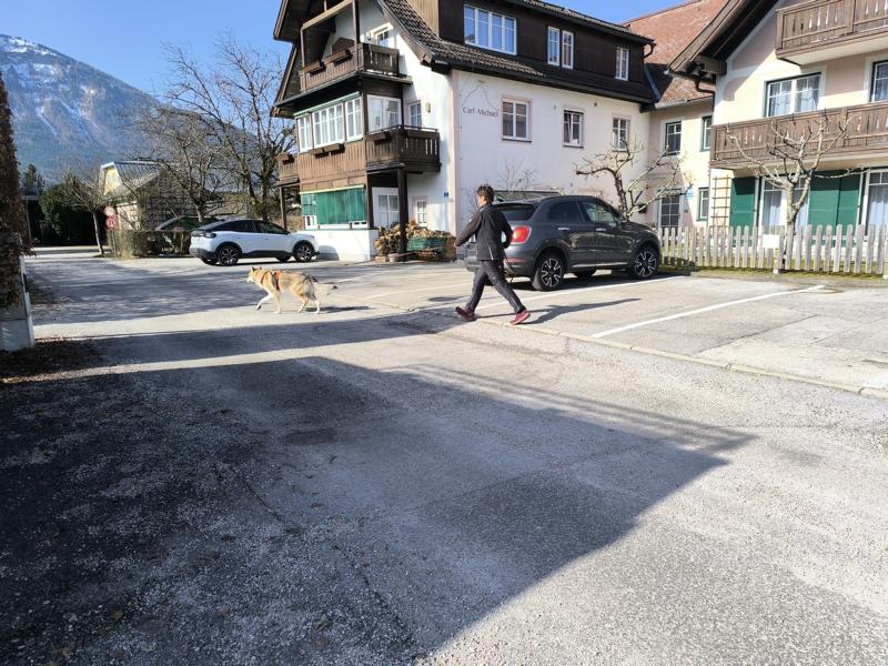 IMG_20260307_102042_1