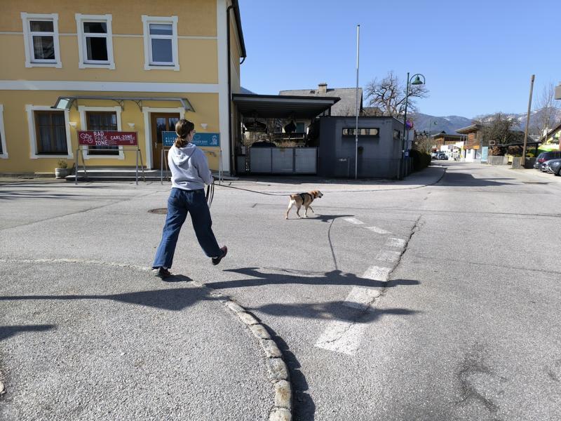 IMG_20260307_110811_1