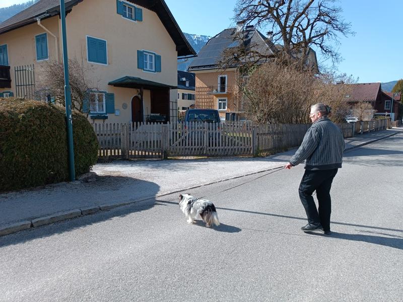 IMG_20260307_112607_1