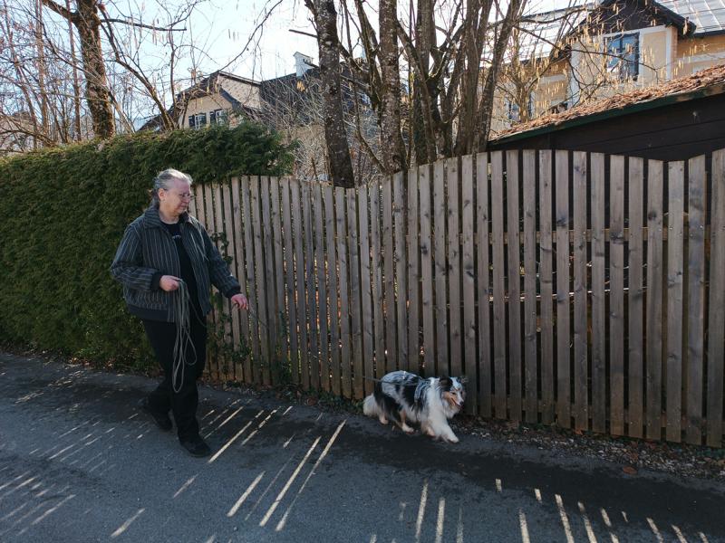 IMG_20260307_114344_1