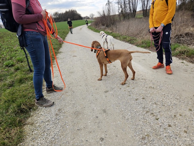 b76a5b83-e492-4434-bd8d-b8f7618fe969