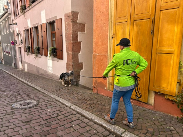 b916e5bf-4e25-48e0-8966-fdd45a0491f7