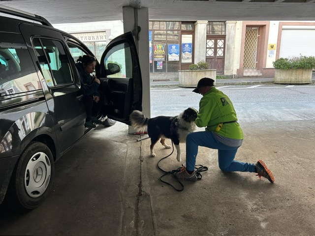 d3434824-f287-4524-8bdb-38349aa72837