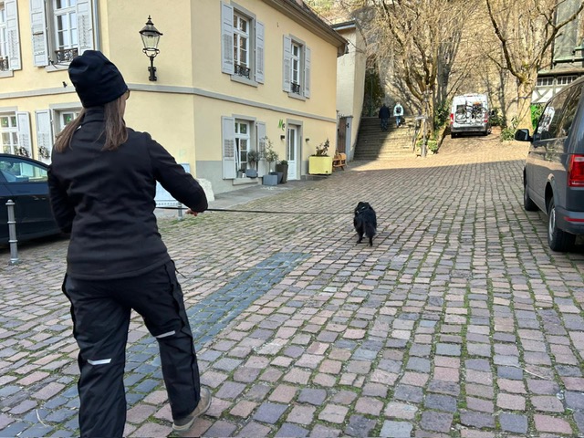 d501fe3c-f6f6-44d8-89f4-e790aaefee91