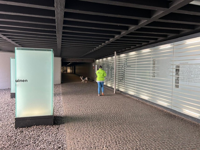 f469be97-dc7f-4d97-b0c9-3e9a98298c04