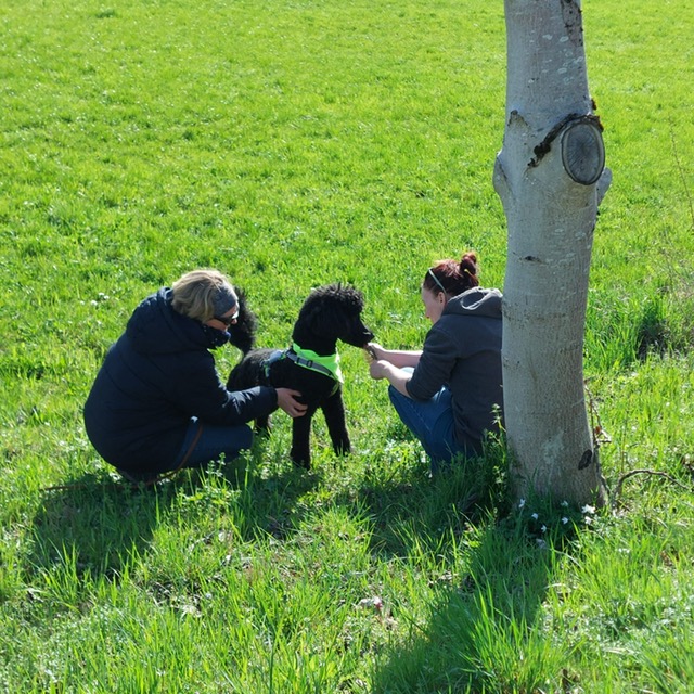 7e581941-8fa3-41fb-aefc-a2a55e85f46e